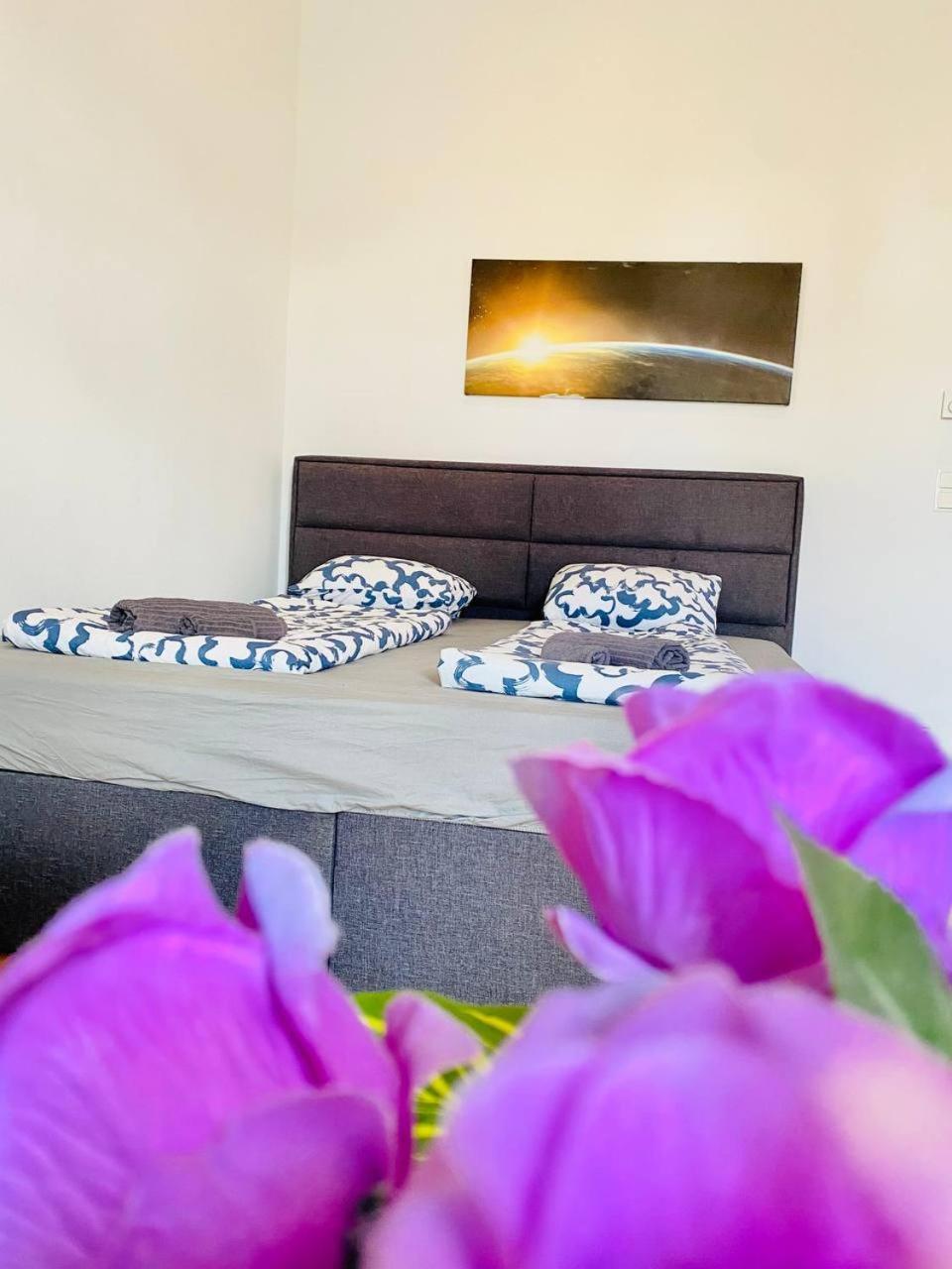 Cozy Rooms In Brigittenau Area Mm23 Wiedeń Zewnętrze zdjęcie