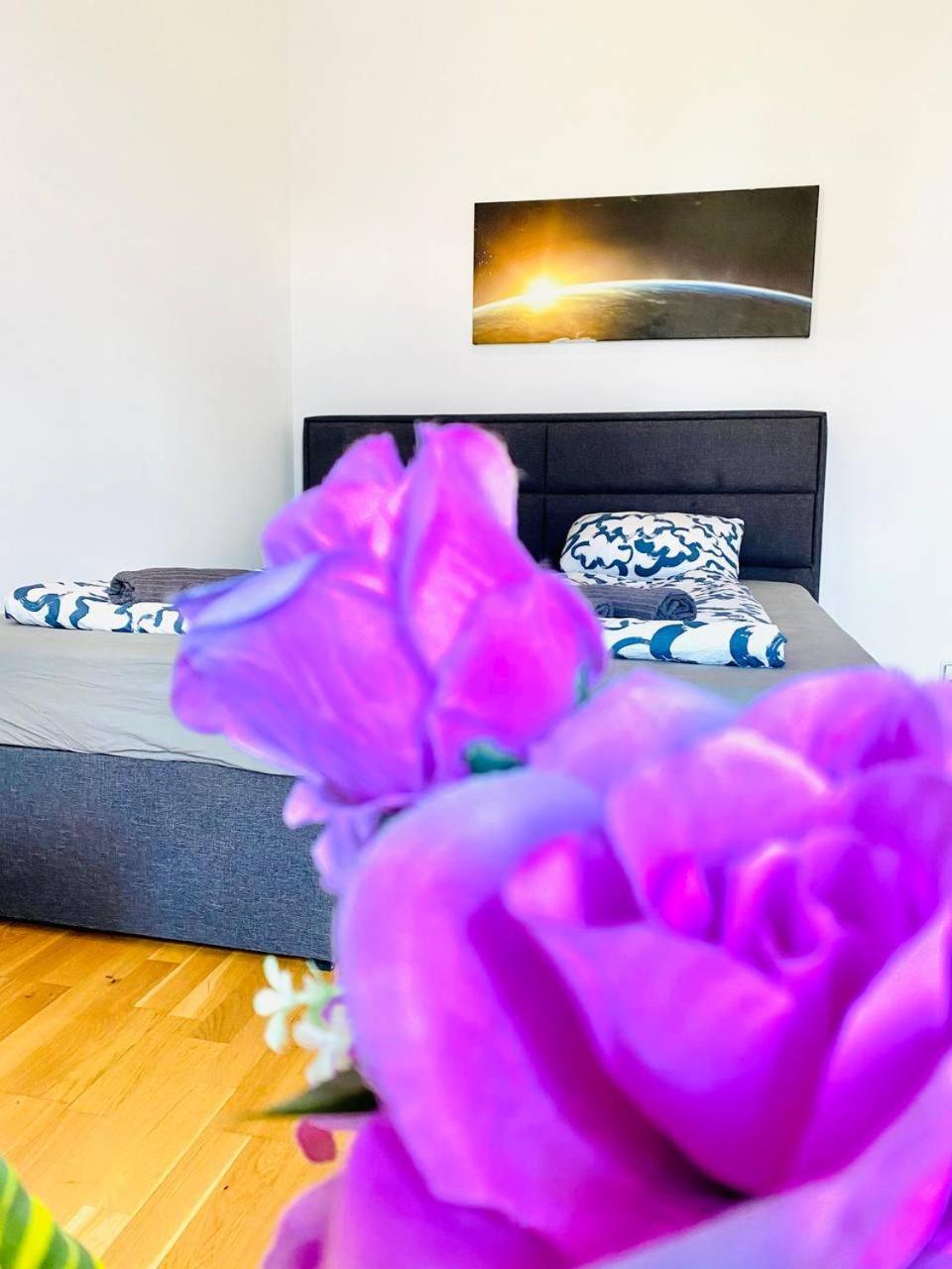 Cozy Rooms In Brigittenau Area Mm23 Wiedeń Zewnętrze zdjęcie